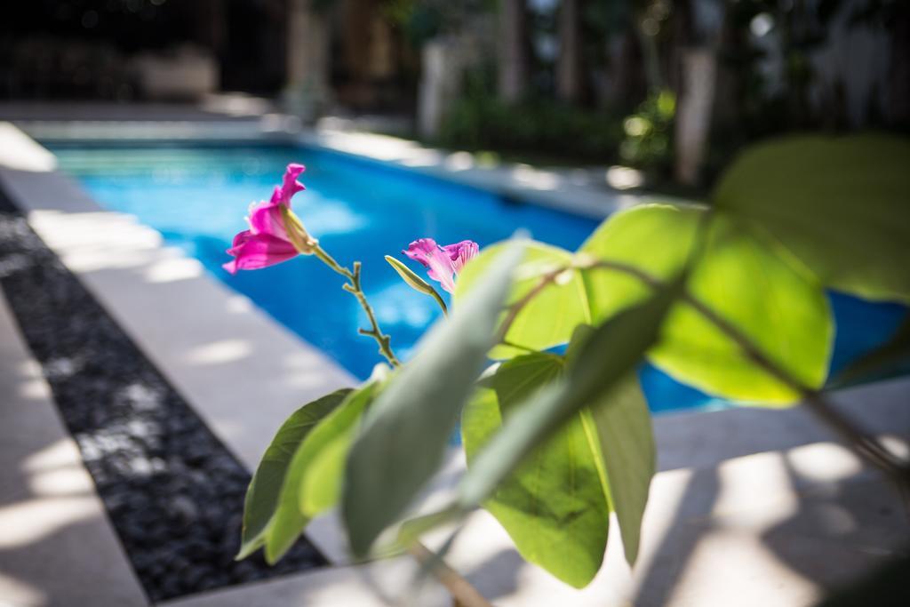 Villa Alu Lima Семіньяк Номер фото